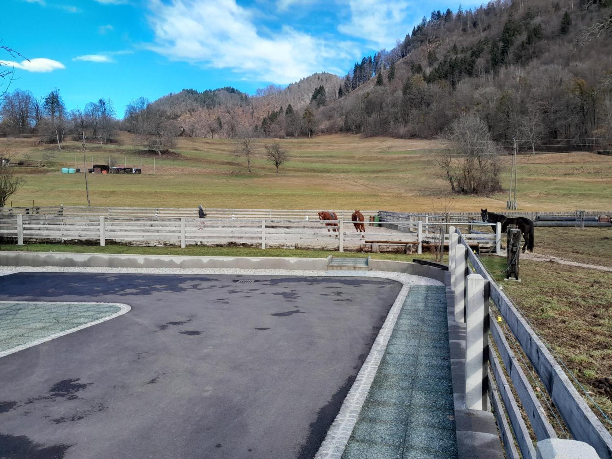 Turisticna Kmetija Marovt Villa Bled Ngoại thất bức ảnh